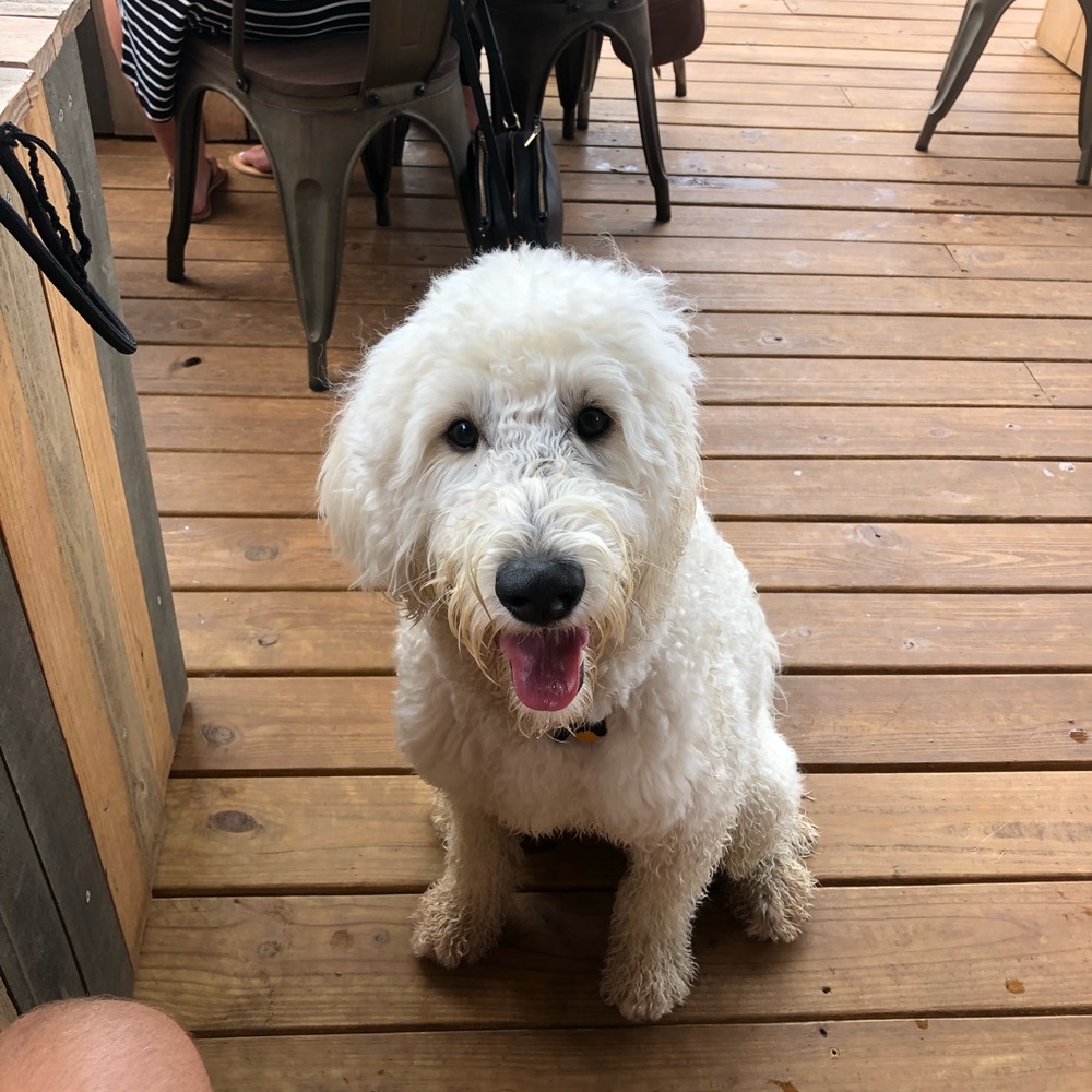 Meet your Posher, Dustin